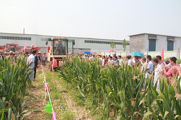 國豐機(jī)械舉辦2016新產(chǎn)品演示會2.jpg