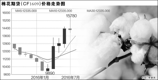 儲備棉積壓棉花價(jià)格卻瘋漲 誰在助推棉價(jià)暴漲.jpg