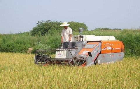 機(jī)械化成油料作物增產(chǎn)挖潛重要路徑.jpg