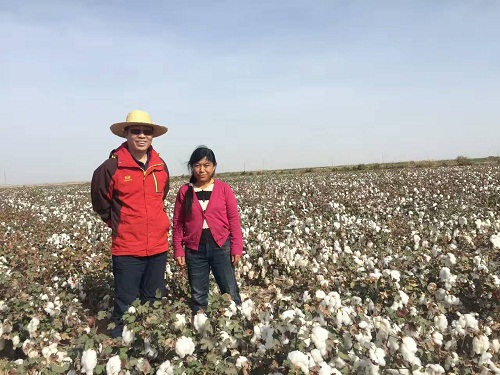 成都華宏鹽堿地改造又結(jié)碩果  十一年荒地一朝變良田