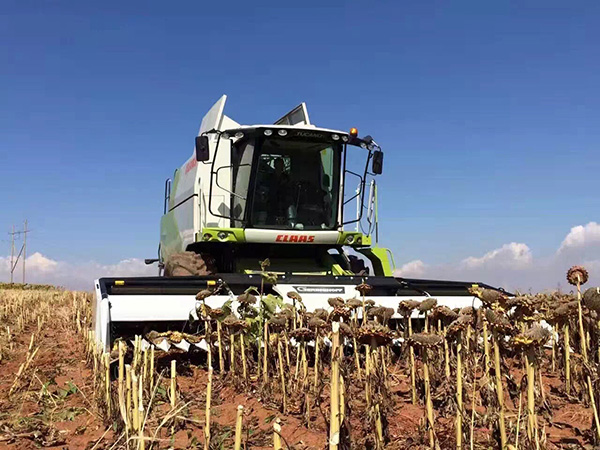 科樂(lè)收(CLAAS) TUCANO 系列收割機(jī)引領(lǐng)“葵花機(jī)械化收割時(shí)代”1.jpg