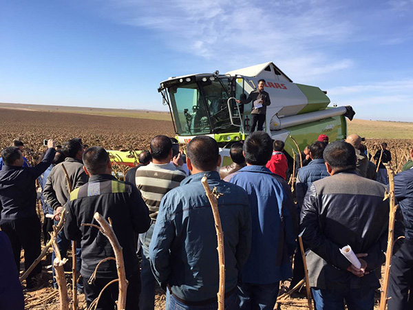 科樂(lè)收(CLAAS) TUCANO 系列收割機(jī)引領(lǐng)“葵花機(jī)械化收割時(shí)代”2.jpg