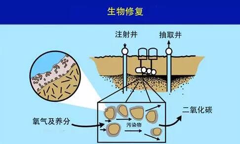 土壤地下水修復(fù)技術(shù)工程——原位生物修復(fù)