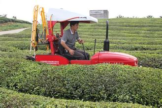 茶園生產(chǎn)全程機(jī)械化.jpg