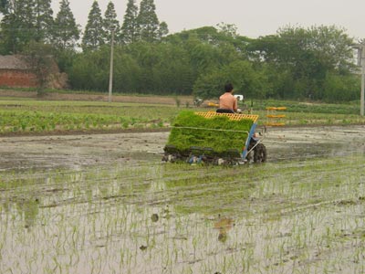 水稻生產(chǎn)全程機(jī)械化.jpg