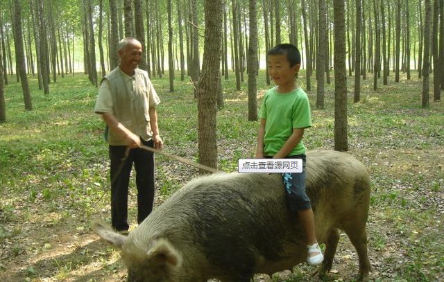 這樣農(nóng)村孩子的圖讓你想到了什么