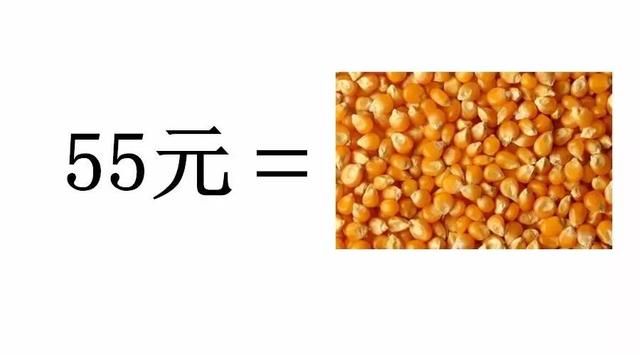 今年一畝地玉米賺多少錢？一起來計算下成本