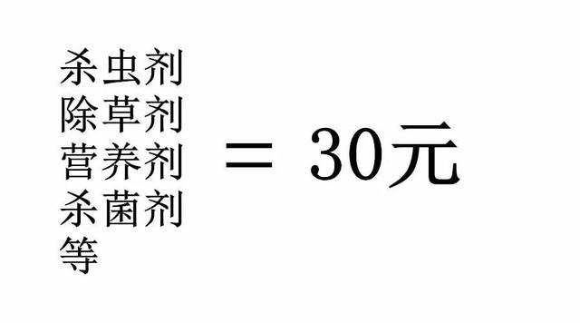 今年一畝地玉米賺多少錢？一起來計算下成本