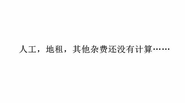 今年一畝地玉米賺多少錢？一起來計算下成本