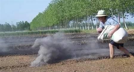 葡萄缺鈣癥狀圖片及防治方法