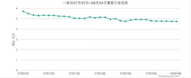 8月份葡萄價(jià)格終于有轉(zhuǎn)機(jī)了，你不看看嗎？