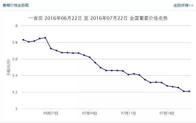 最新全國各地葡萄價格詳情