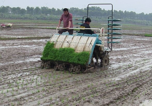 水稻耕種收機(jī)械.jpg