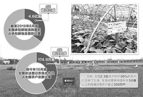 土地流轉(zhuǎn)和適度規(guī)模經(jīng)營發(fā)展已成為趨勢.jpg