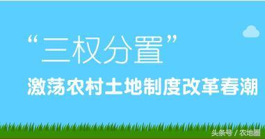 三權(quán)分置”激蕩農(nóng)村土地制度改革春潮