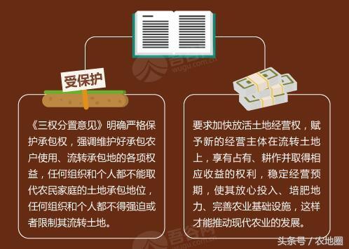 三權(quán)分置”激蕩農(nóng)村土地制度改革春潮