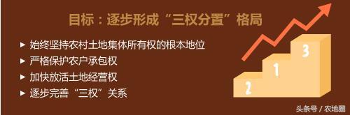 三權(quán)分置”激蕩農(nóng)村土地制度改革春潮