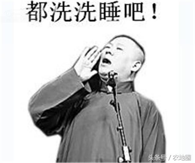 農(nóng)民發(fā)橫財?shù)臋C會來了，每人5000元別說圈哥沒告訴你！