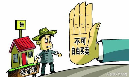 本次不予土地確權(quán)的農(nóng)村宅基地將會(huì)被無(wú)償回收？