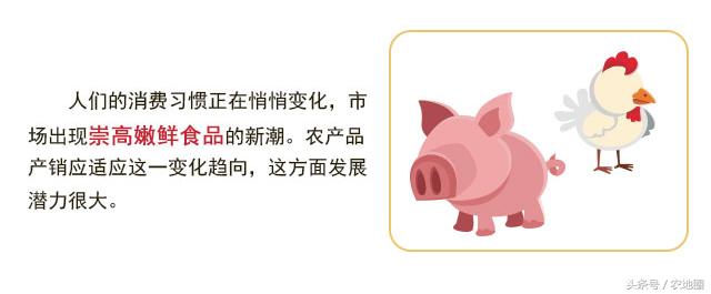 哪些策略可以提高農(nóng)產(chǎn)品的銷量？