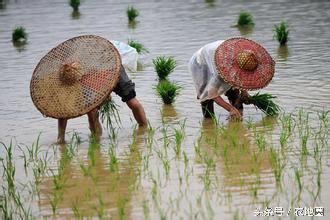 回本溯源：到底什么是農(nóng)民？