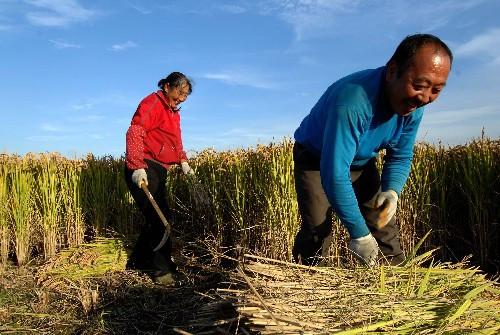 農(nóng)村老人無(wú)需對(duì)每個(gè)月70元養(yǎng)老金感恩戴德！