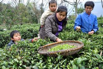 農(nóng)地圈：農(nóng)村最急需解決的六大問題