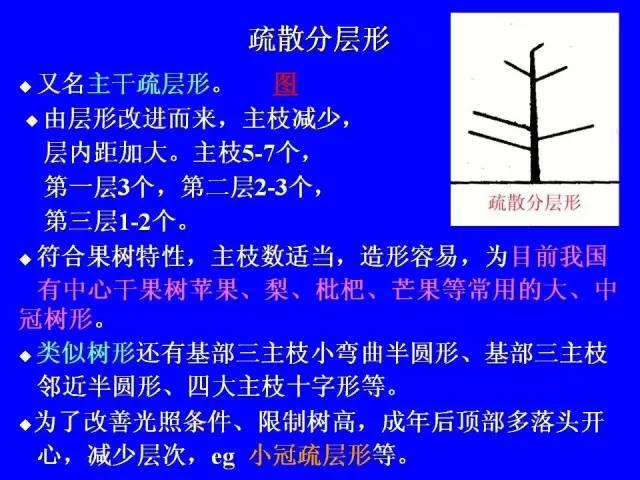 史上最全果樹修剪圖解