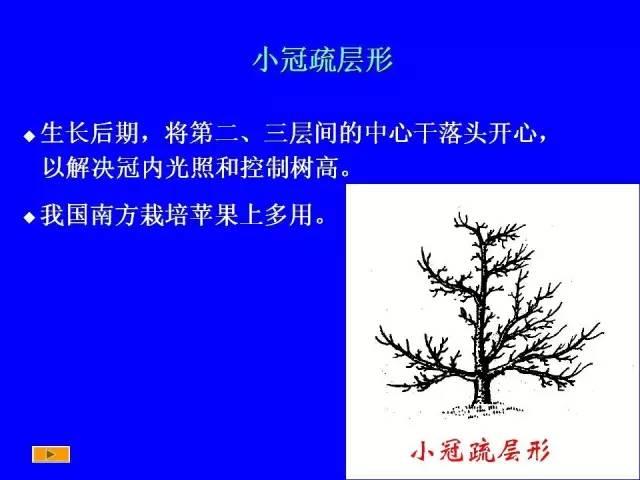 史上最全果樹修剪圖解