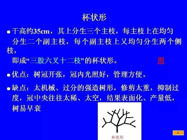 史上最全果樹修剪圖解