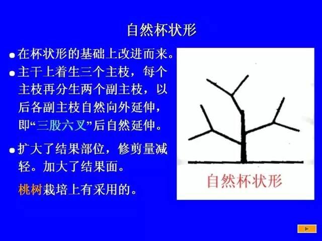 史上最全果樹修剪圖解