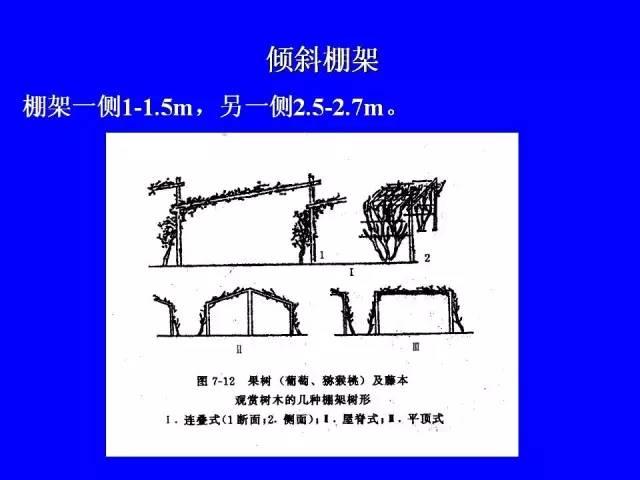 史上最全果樹修剪圖解