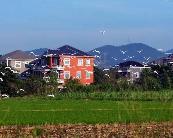 農(nóng)村生活的9大好處，住在城里的你羨慕不？