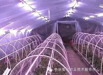 特殊性新型科研肥料，你知道多少？