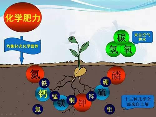 常用肥料技術(shù)問題解析（最新整理，強(qiáng)烈推薦）