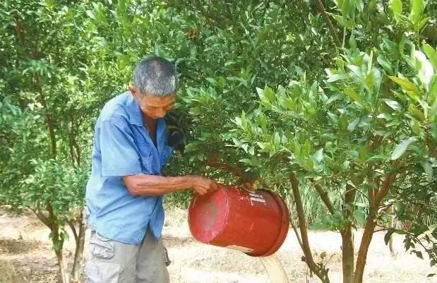 沖施肥，不是簡單的隨水沖肥！