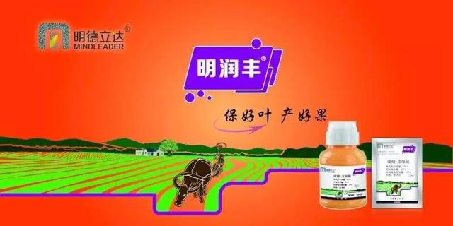 細(xì)菌性病害真多，用這些藥把它們?nèi)扛傻舭? 
onerror=