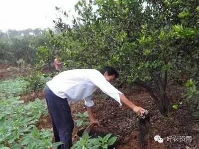 肥料差？影響肥效發(fā)揮的因素要了解！