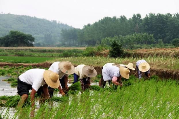 小時(shí)候的農(nóng)村，和現(xiàn)在的農(nóng)村 ！