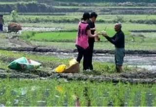 農(nóng)村人就是這樣，說的一點都不假！