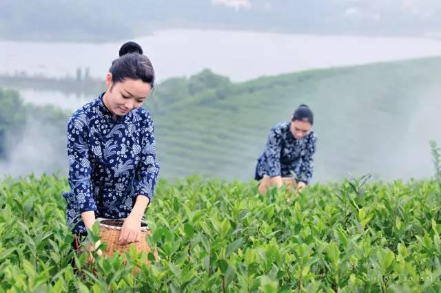 因為你不做農(nóng)民，所以你不知道