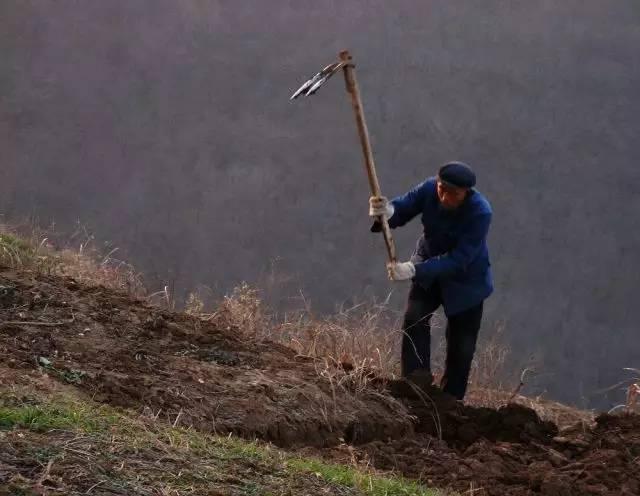 因為你不做農(nóng)民，所以你不知道