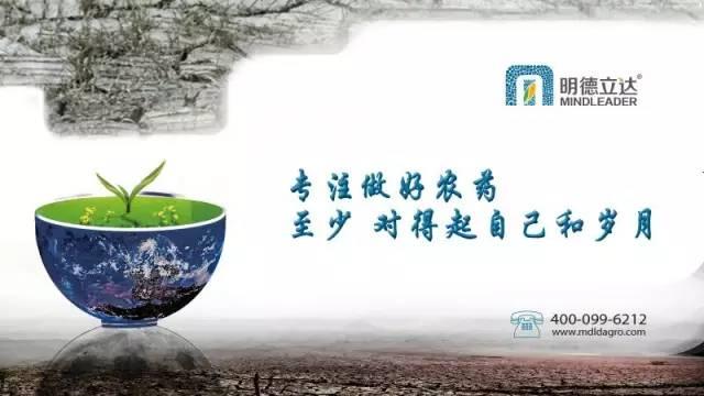 關于農(nóng)業(yè)保險的9大問題 你必須知道！