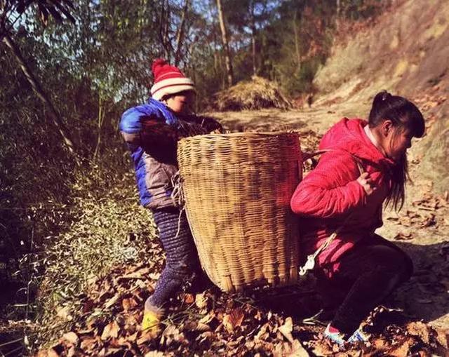 那些年，在農(nóng)村吃過的苦，看哭了！