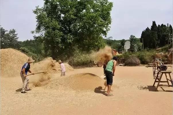 那些年，在農(nóng)村吃過的苦，看哭了！