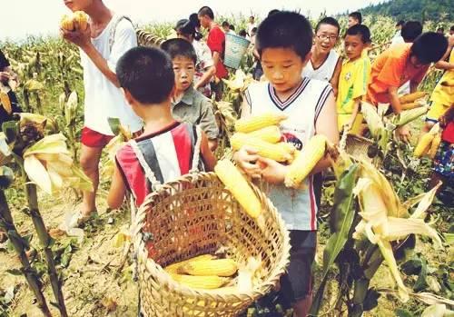 那些年，在農(nóng)村吃過的苦，看哭了！