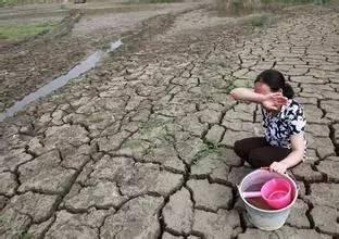 請不要再殘忍地指責農(nóng)民的貪婪，這些究竟是誰的錯！