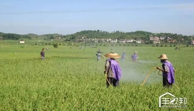 打了那么多年的農(nóng)藥，這些你都不知道？