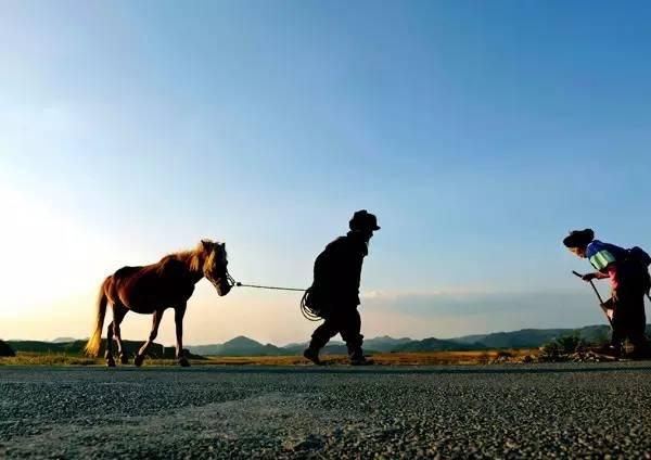 中國農(nóng)民順口溜，這就是農(nóng)民！