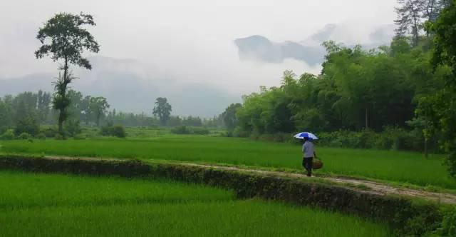 等我們老了，就回農(nóng)村老家，種菜養(yǎng)花，看夕陽(yáng)西下